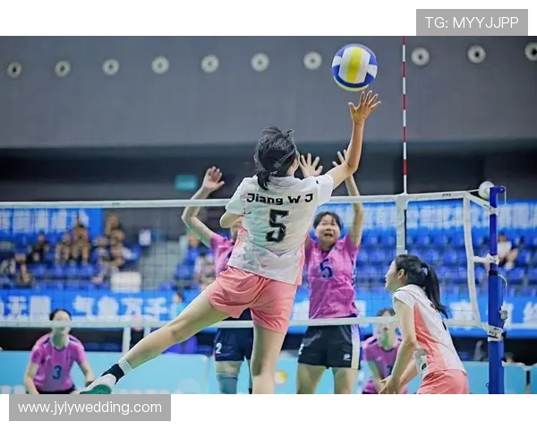 成都排球队技术争议引发热议球迷与专家的观点碰撞与思考