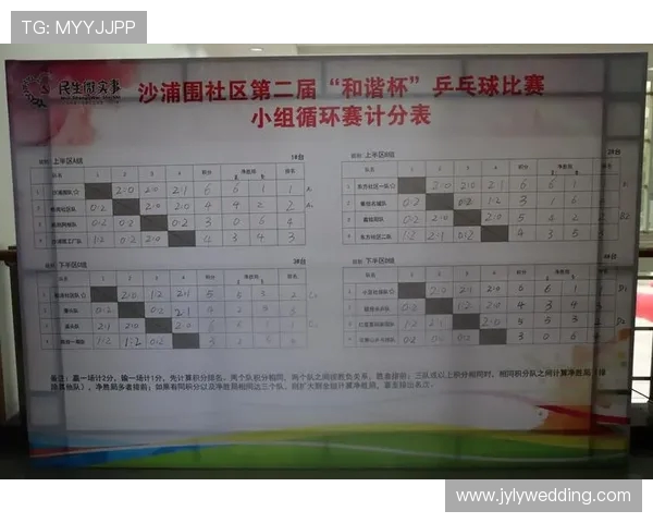 陈敏独家分享乒乓球技巧与心得助你提升球技的秘密宝典