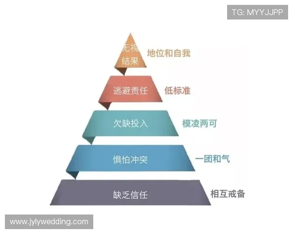 北京排球队的团队协作精神与战术配合探讨 北京排球队的团队协作精神与战术配合探讨