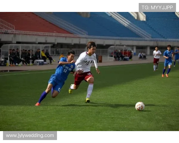 杨磊独家分享足球心得与技巧助你提升球技与战术理解